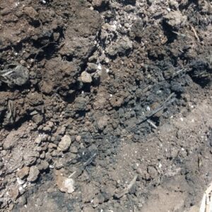 گل‌علیزاده: خاک‌های آلوده به مازوت در قمیشلو به زودی پاکسازی می‌شود