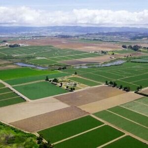 واگذاری اراضی ملی استان بوشهر برای اجرای طرح‌های غیرکشاورزی