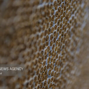 مالیات هر نرخ سیگار ۶۵ تومان شد+ جزئیات