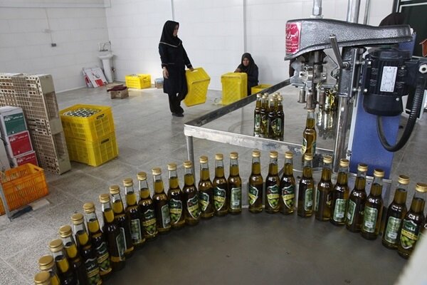 شفیعی: چالش‌های زیست‌محیطی طارم توسعه پایدار را تهدید می‌کند