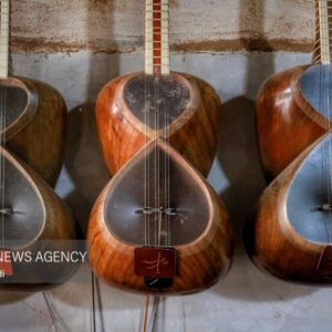 سازندگان ساز سهمیه ارزی دریافت می‌کنند؛ توضیحات آقای مدیر!