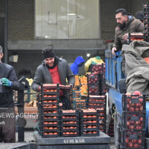 کنترل قیمت و کیفیت اقلام یلدایی در میادین میوه و تره‌بار