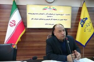 تکمیل گازرسانی به ۴۲ سایت مسکن ملی خراسان جنوبی