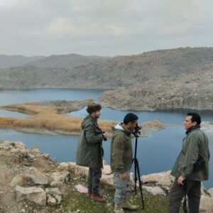 زندی:آغاز سرشماری زمستانه پستانداران در زیستگاه‌های کردستان