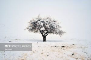 بالاکتفی:شهروندان یزدی از سفرهای غیرضروری به ارتفاعات استان پرهیز کنند