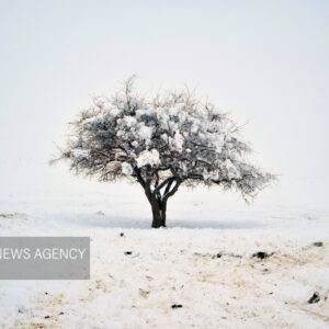 بالاکتفی:شهروندان یزدی از سفرهای غیرضروری به ارتفاعات استان پرهیز کنند