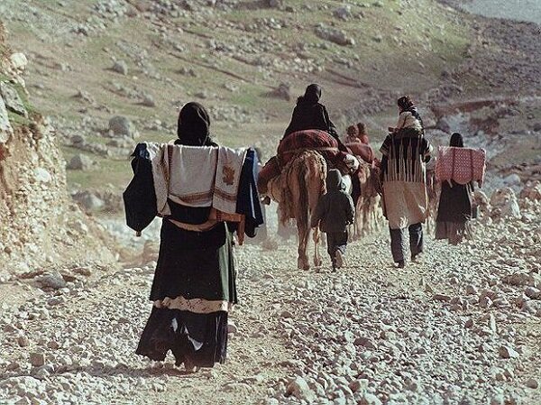 یاسمی:بازگشایی فاز نخست راه‌های عشایری ایلام آغاز شد