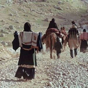 یاسمی:بازگشایی فاز نخست راه‌های عشایری ایلام آغاز شد