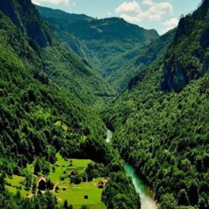 پایدار: جنگل‌های هیرکانی هویت فرهنگی و میراث ملی است