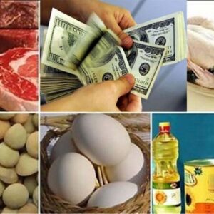 ۴۴.۴ میلیارد دلار ارز واردات تامین شد