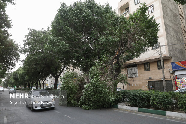 سرعت وزش باد در اردبیل به ۱۰۰ کیلومتر برساعت می‌رسد