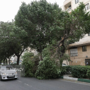 سرعت وزش باد در اردبیل به ۱۰۰ کیلومتر برساعت می‌رسد