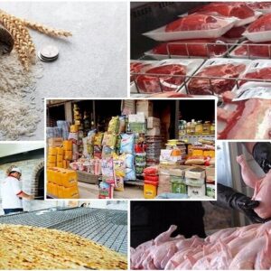 نظارت بر بازار کالاهای اساسی باید دقیق‌تر شود
