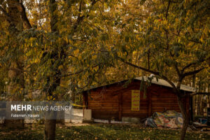 محمودی:تمامی تفرجگاه‌های خراسان رضوی تعطیل شد