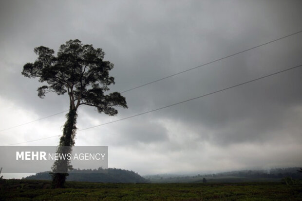هوای مازندران ابری همراه با بارش پراکنده باران است