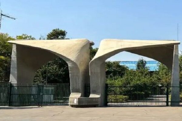 معاون فرهنگی و اجتماعی دانشگاه تهران منصوب شد