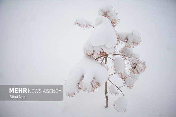 پوشش برفی حوضه‌های آبریز آذربایجان غربی به ۱۰!هزار کیلومتر مربع رسید