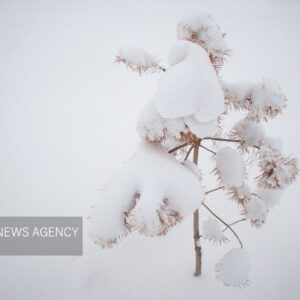 پوشش برفی حوضه‌های آبریز آذربایجان غربی به ۱۰!هزار کیلومتر مربع رسید