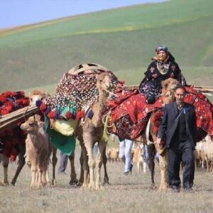 یاسمی: سیلاب به ۵۰ درصد راه های عشایری استان ایلام خسارت زد