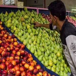 آغاز جانمایی و توسعه میادین میوه‌ و تره‌بار تهران