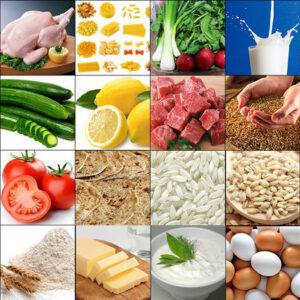 فرجی: افزایش بهره‌وری تنها راه حفظ امنیت غذایی کشور است