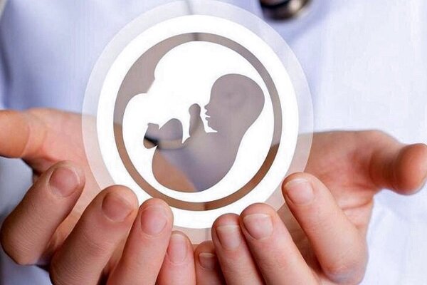 نرخ باروری درمنطقه کاشان به زیر ۱.۵فرزند برای هر مادر در سن باروری است