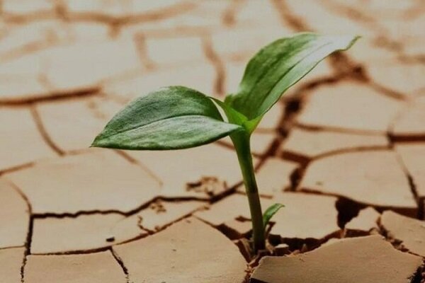 حل مسائل محیط‌زیست نیازمند پژوهش هدفمند و همکاری ملی است