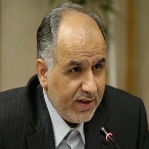 رحیمی: بدون ملتهب کردن بازار با گران‌فروشی برخود می‌کنیم