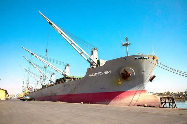 واردات ۶۶ هزار تن گندم از طریق بندر شهید رجایی بندرعباس