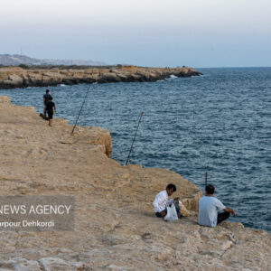 وضعیت جوی و دریایی استان بوشهر آرام است