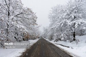دادرس: ارتفاع برف در اشکورات رحیم‌آباد به ۶۰ سانتی‌ متر رسید