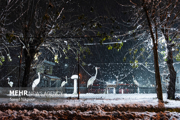 بارش برف در اشکورات رودسر آغاز شد