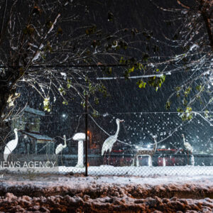 بارش برف در اشکورات رودسر آغاز شد