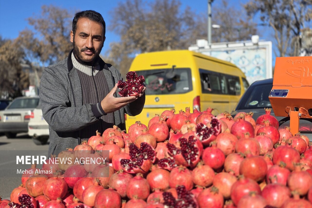 میوه یلدا روی دور تند گرانی؛ دلال‌ها در میدان، نظارت در حاشیه
