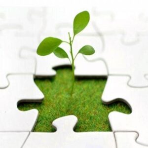 اخلاق مدرن به ظاهر کار دارد نه به فضیلت‌ها؛ تفاوت اخلاق با رفتار خوب