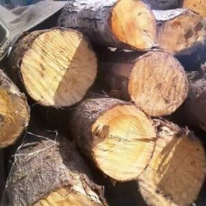 ۲ تن چوب طاق جنگلی قاچاق در برخوار کشف شد