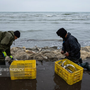 نفس صیاد به دریا بند است؛ معیشت سخت‌ صیادان شمال