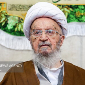 آثار گرانبهای علمای شیعه در تفسیر قرآن میراثی جاویدان است