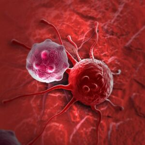 سرطان پستان در ایران رو به افزایش است