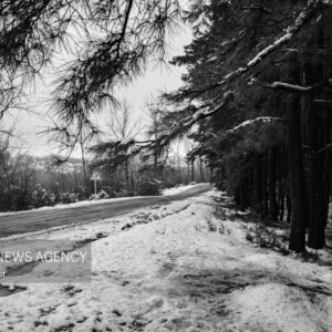 مرادی: توقف بارش برف در محورهای کوهستانی گیلان؛ محورهای گیلان باز است