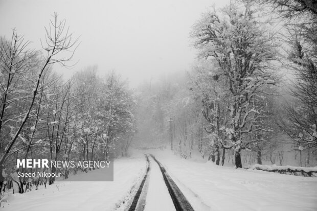 مرادی: توقف بارش برف در ۸ محور گیلان؛ تردد جریان دارد
