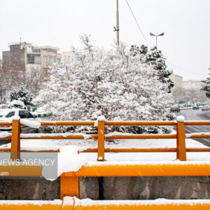 هوای مشهد پاک است