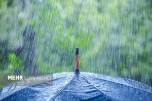 مدیرکل هواشناسی بوشهر: تمرکز فعالیت سامانه بارشی در جنوب استان است