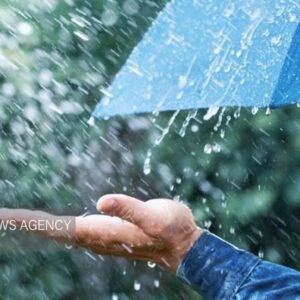 جزئیات بارش‌ها در استان بوشهر؛ ۱۴۱ میلیمتر بارندگی در جم ثبت شد