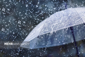 جزئیات بارش‌ها در استان بوشهر؛ وقوع بیشترین بارندگی در عسلویه