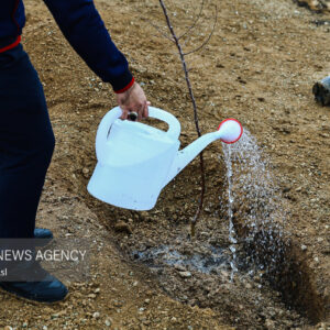 دهمین پویش درختکاری یلدا در پارک حدیله بهاباد برگزار شد