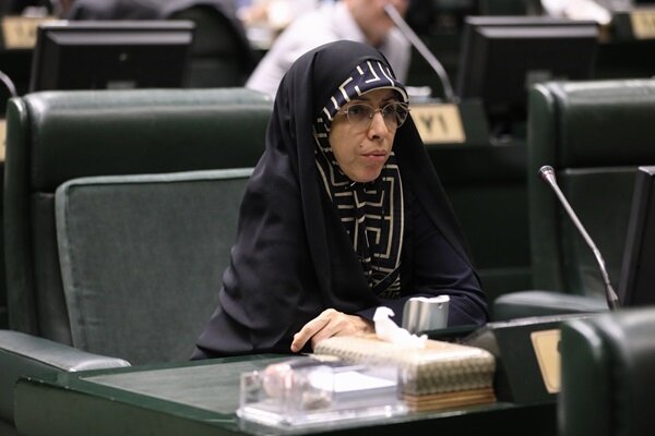 زمانی: بودجه سالانه بیشتر به نفع شرکت‌های دولتی طراحی شده است