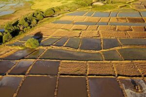 آشتاب: ۴۵۰ پلاک در سامانه سحاک کرمانشاه تعیین تکلیف شد