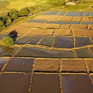 آشتاب: ۴۵۰ پلاک در سامانه سحاک کرمانشاه تعیین تکلیف شد