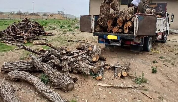 کشف ۱۰ تن چوب جنگلی قاچاق در دهگلان